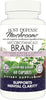 MycoBotanicals® Brain* 60 Capsules - Host Defense - Healthspan Holistic