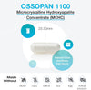 Ossopan 1100™ 120 Capsules - XYMOGEN® - Healthspan Holistic