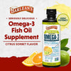 Seriously Delicious High Potency Omega-3 Citrus Sorbet 16 oz - Barlean’s - Healthspan Holistic