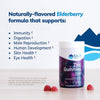 Zinc Gummies Elderberry 60 Gummies - Trace Minerals - Healthspan Holistic